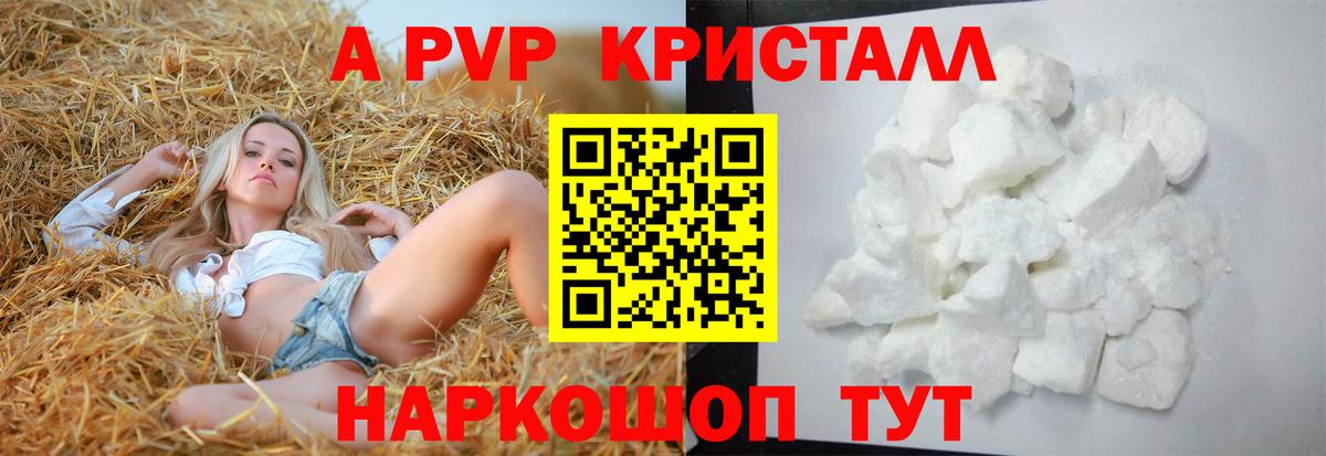 A PVP СК Россия