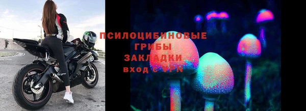 MDMA Каменногорск