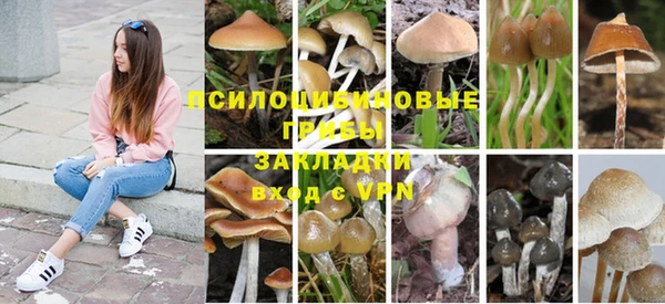 круглые Инта