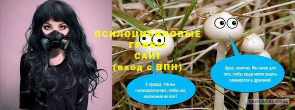 MDMA Каменногорск