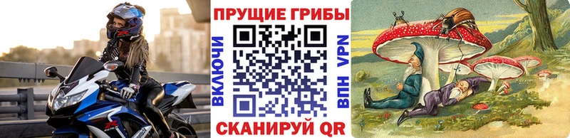 купить наркотики цена  нарко площадка формула  Галлюциногенные грибы мицелий  Краснодар 