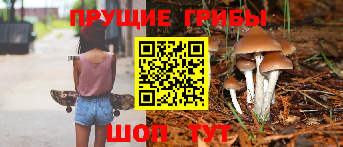 Псилоцибиновые грибы MAGIC MUSHROOMS  Вход с VPN  Россия  Галлюциногенные грибы GOLDEN TEACHER 